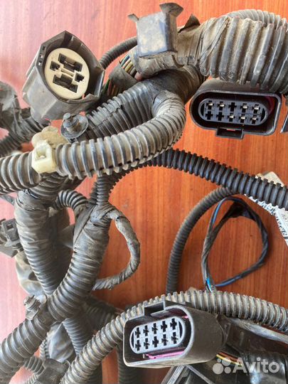 Проводка моторного отсека Ford Focus 2 седан qqdb