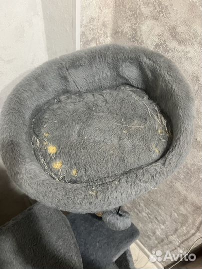 Кошачий домик с когтеточкой б/у