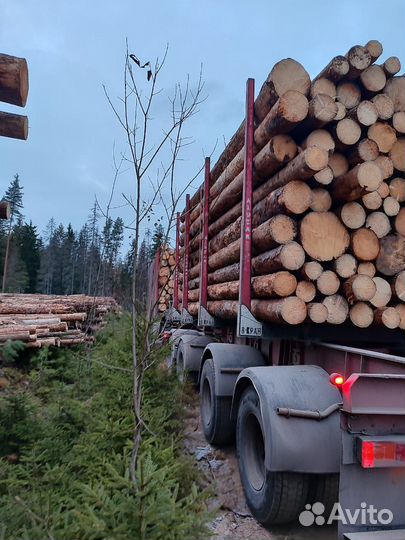 Лес Кругляк Пиловочник