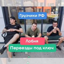 Переезды грузчики грузоперевозки, Лобня