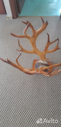 Вешалка Рога