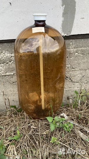 Кеги пластиковые б/у