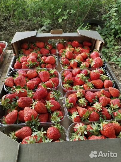 Разнорабочий с ежедневной оплатой