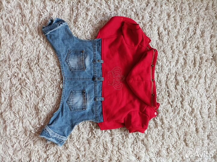 Одежда для собак мелких пород