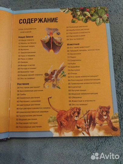 Энциклопедия для детей