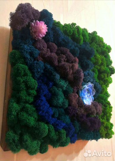 Панно Стабилизированный мох Картина Подарок