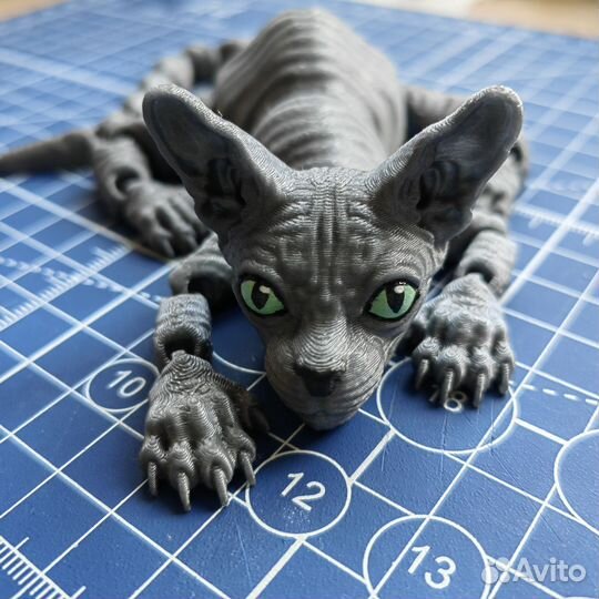 Канадский сфинкс подвижный кот