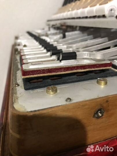 Аккордеон firotti 4/4