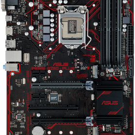 Asus prime b250-plus