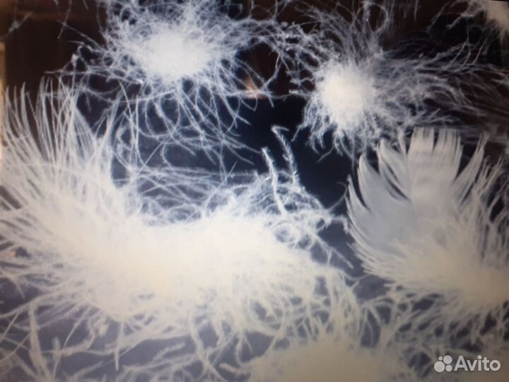 Пух перо подушки перины