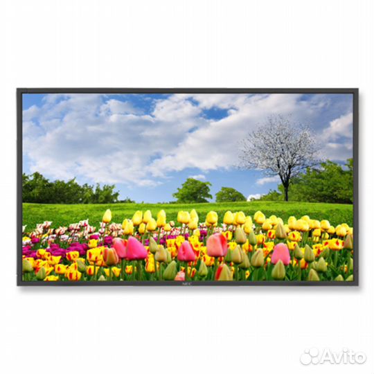 LED / LCD панель NEC MultiSync X462HB 244648