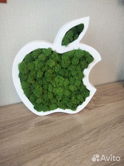 Apple яблоко, озелененное мхом. Фитопанно из мха