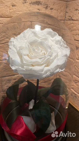 Вечная роза в колбе