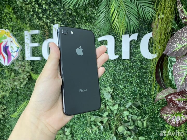iPhone 8 64Gb