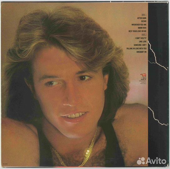 Andy Gibb 1980 After Dark (Japan, Mint/NM)