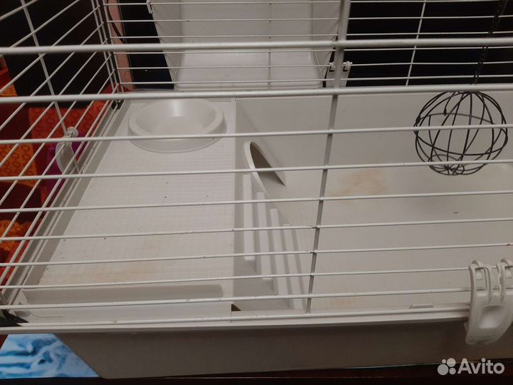 Клетка для морской свинки