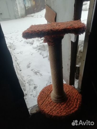 Когтеточка для кошек высокая