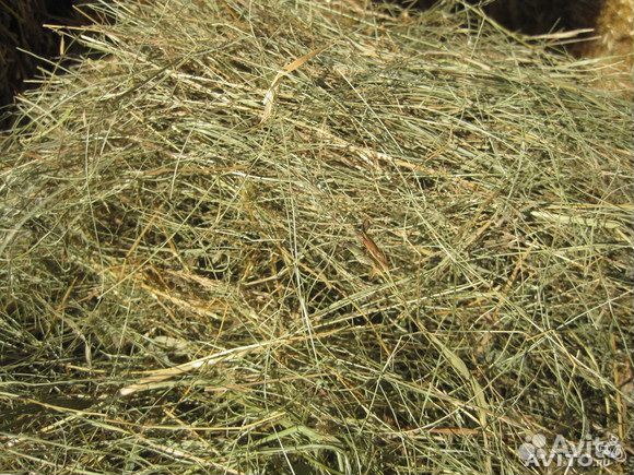 Сено,рулоны