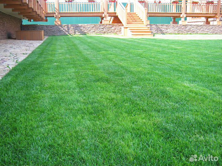 Рулонный газон под ключ