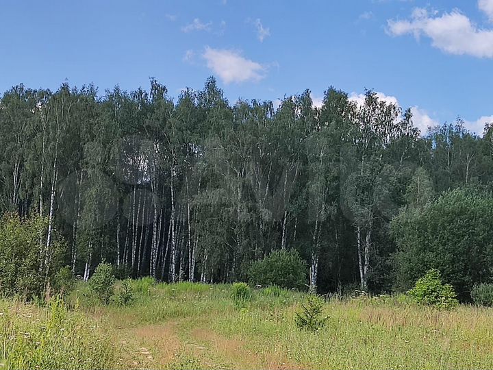 Участок 64,1 сот. (СНТ, ДНП)