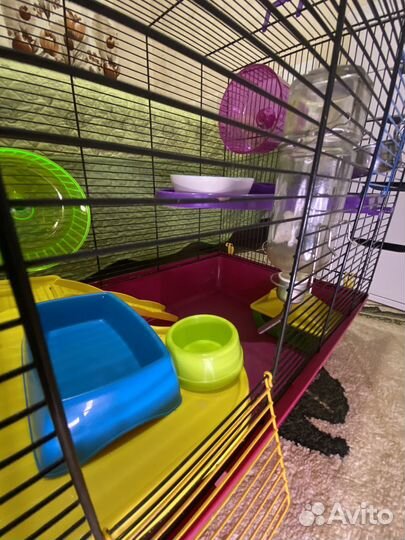 Большая клетка для грызунов бу