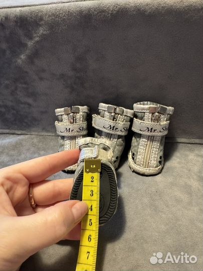 Ботинки для собак мелких пород