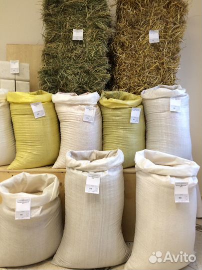 Пшеница,кукуруза,овес,ячмень,комбикорм