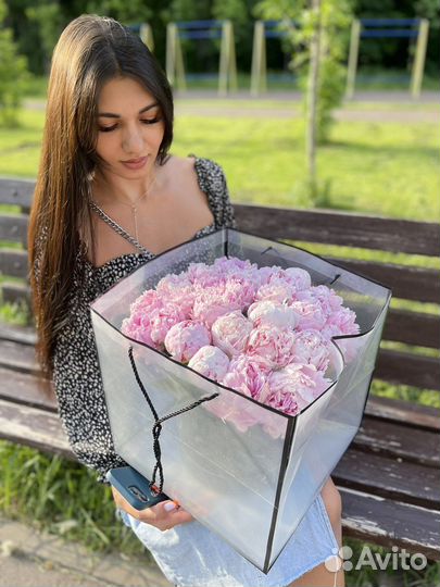 Пионы 29 пион 51 пион 101 пион