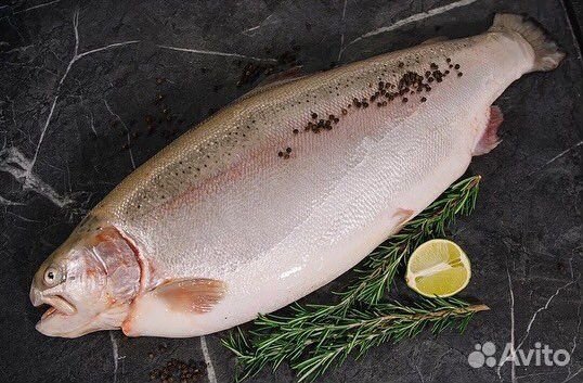 Форель из Карелии без предоплаты Тамбов Мичуринск