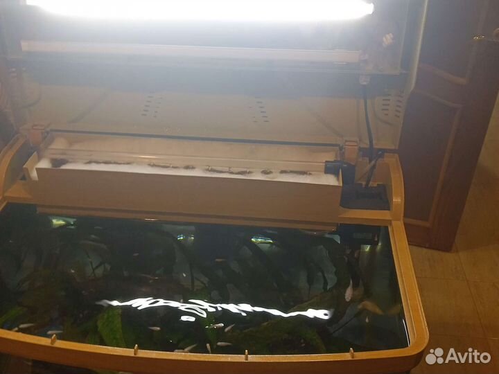 Аквариум