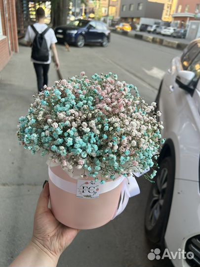 Композиция из крашеной гипсофилы