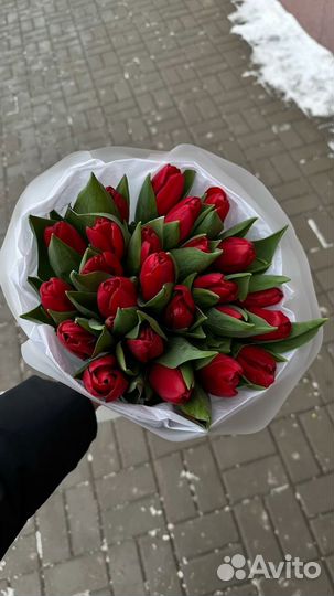 Свежие тюльпаны букет цветы с доставкой