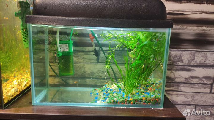 Аквариум