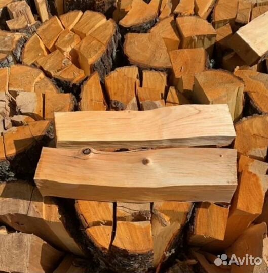 Дрова береза
