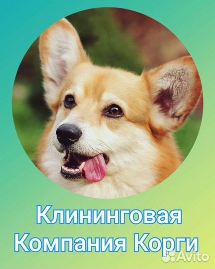 Клининг. Клининговые услуги. Уборка квартир,офисов