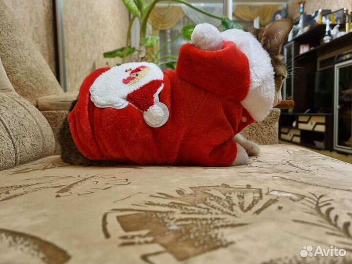 Костюм для животных (Санта)