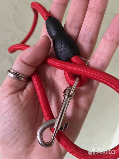 Новый поводок