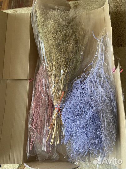 Мыльные цветы, сухоцветы