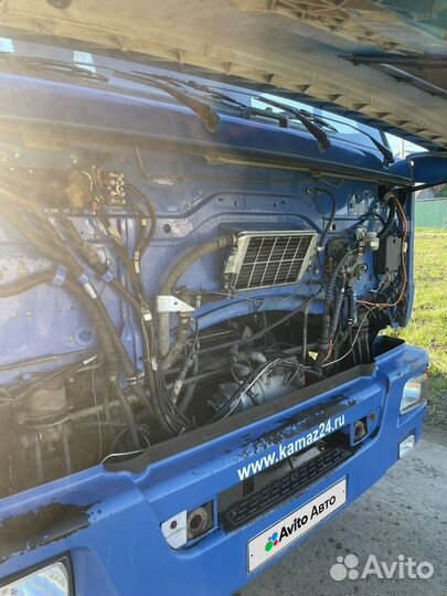 КАМАЗ 65117, 2012