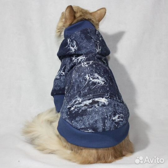 Одежда для животных