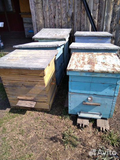Продам ульи для пчел