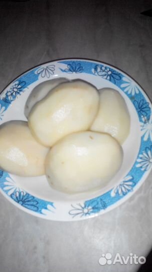 Картофель Сынок (клубни) 1 линии на посадку