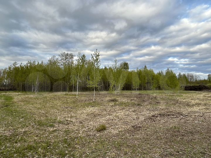 Участок 22,3 сот. (СНТ, ДНП)