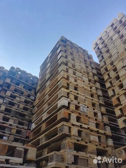 Поддоны Реутов