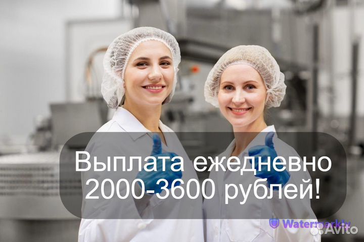 Упаковщица оплата ежедневно