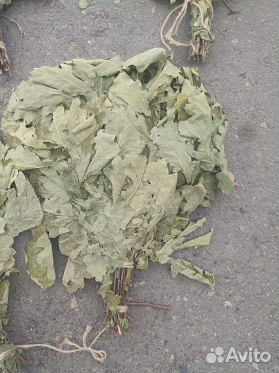 Веник для бани дубовый оптом