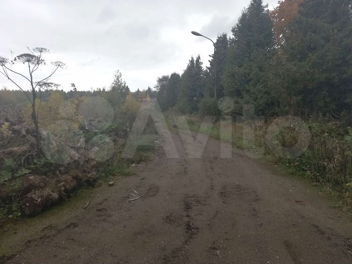 Участок 100 сот. (СНТ, ДНП)