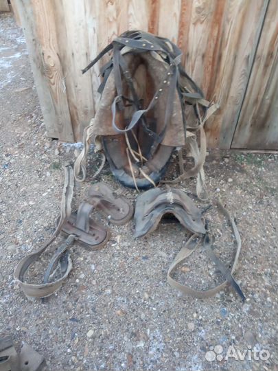 Упряжь для лошади сани