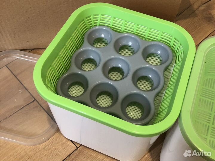 Новый проращиватель
