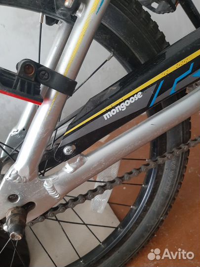 Mongoose 20